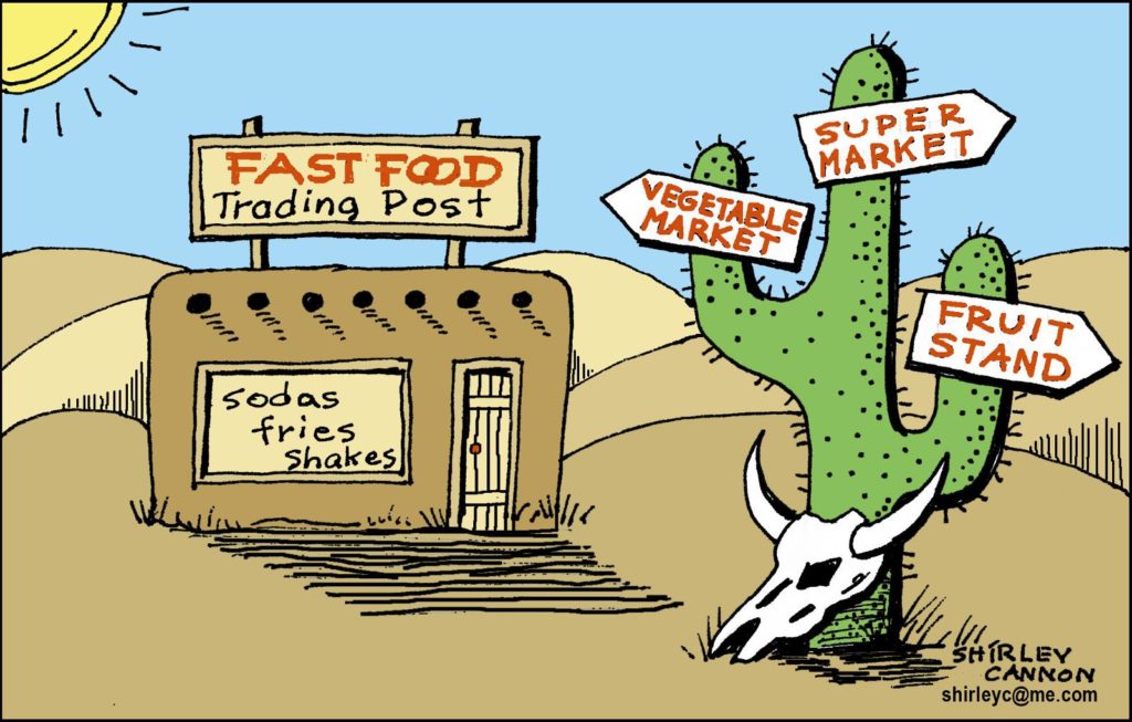 Food Access Dashboard Snippet